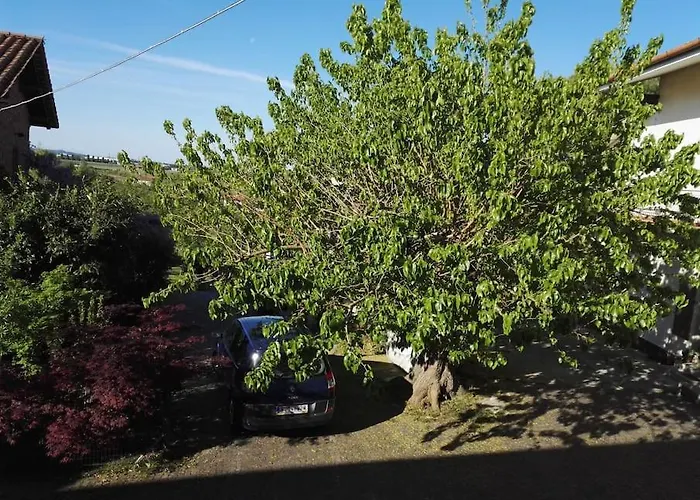 Casa Delle - Blackberry House Apartman *